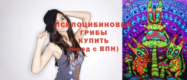 PSILOCYBIN Алзамай