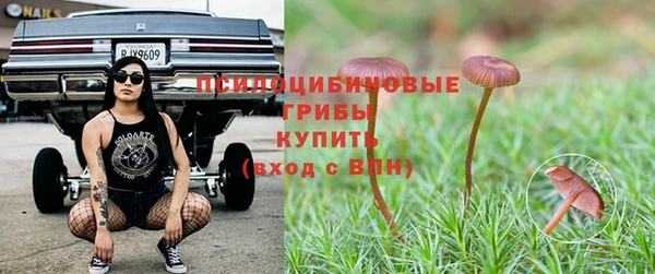 PSILOCYBIN Алзамай