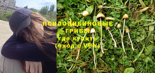 эйфоретик Абинск