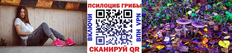 где купить наркоту  Ступино  blacksprut как войти  Псилоцибиновые грибы Cubensis 
