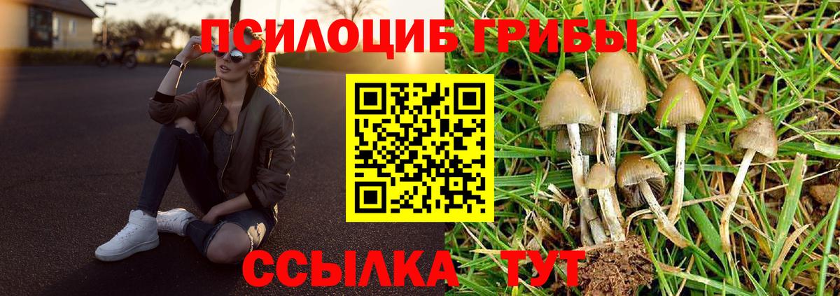 Псилоцибиновые грибы Psilocybine cubensis  Вход с VPN  Ступино 